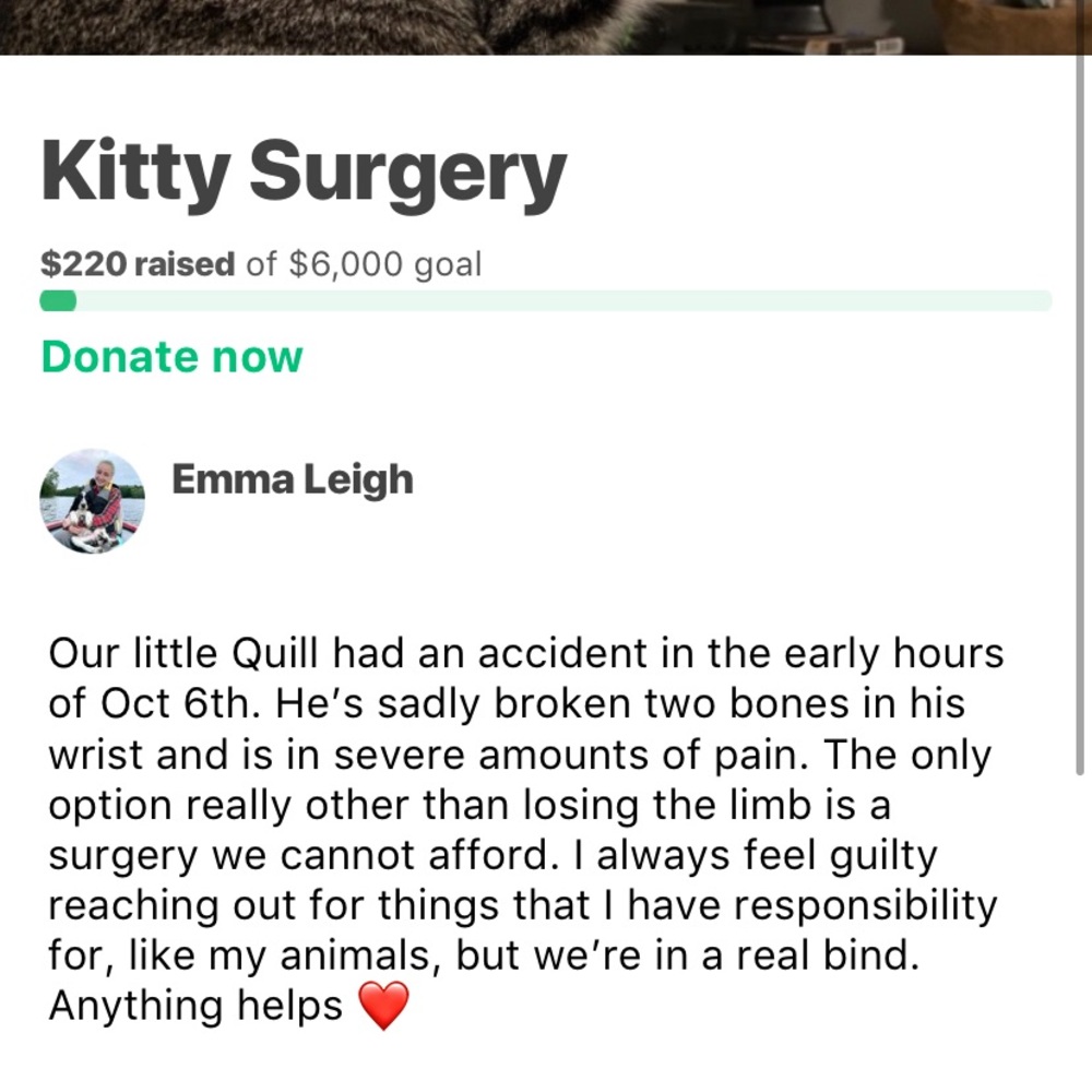 GoFundMe in description!